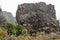 Big rock next to tropical exotic trees and flowers on the way to Mount Kilimanjaro (Tanzania, Africa) covered with fog