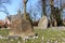 Big rocks in a flowerfield