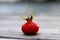 Big Rosehip Berry  Rosa canina  - focus on foreground