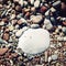 Big round white stone amongst grey and brown pebbles on the beach.