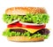 Big royal appetizing burger, hamburger, cheeseburger close-up isolated