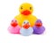Big rubber duck with little ones