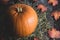 Big rural decorative orange pumpkin on rustic wooden background with hay and foliage as for thanksgiving or halloween