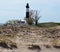 Big Sable Point Lighthouse from the Dunes