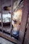 A big sad shepherd in an old aviary. Toned, style photo.