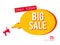 Big sale megaphone banner isolated on white background