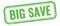 BIG SAVE text on green grungy vintage stamp