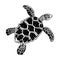 Big sea ocean wild animal turtle
