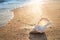 Big seashel on sand on the beach, background,