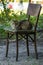 Big serious fluffy cat on an old chair