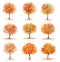 Big Set of Autumn Inspired Trees with Colorful Leaves.