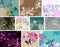 Big set of beautiful floral background