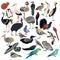 Big set of birds. Flat vector illustration