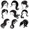 Big set of black hair styling for woman