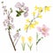 Big set botanic blossom floral elements. Spring flowers. Bloom illustration isolated on white background