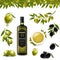 Big Set With Branch Olives And With Transparent background