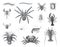 Big set of cartoon centipedes. Cartoon spiders haracters isolated on white background. Collection creepy animals. hand drawn centi