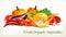 Big set of colorful vector vegetables.