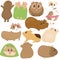 Big set, cute funny guinea pigs of different colors stand, lie, sleep, cute home rodent, vector illustration
