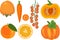 Big set of different orange color fruits and vegetables