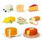 Big set with different types, assortment of cheeses. Vector cartoon realistic collection.