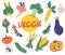 Big set of different vegetables. Greens harvest. Collection of colored hand drawn fresh vegetables. Tasty vegetarian products,