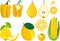 Big set of different yellow color fruits and vegetables