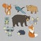 Big set with hand drawn vector, forest, animals.