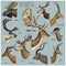 Big set of Horn, antlers Animals moose or elk with impala, gazelle and greater kudu, fallow deer reindeer and stag, doe