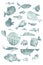 Big set of illustrations of flat style fish with doodle isolated on white background. Stylized artistic collection of