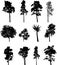 Big set isolated trees - 1