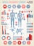 Big set of medical infographics elements. Human body with internal organs.