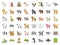 Big set of safari, arctic, forest animal and bird such as tiger, seal, camel, sloth, kangaroo, frog, pelican, parrot, toucan icon