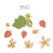 Big set superfoods. Vector illustration physalis, berries. Hand drawing flowers, leaves, small tomato, lanterns., Whole and half