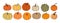 Big set of various hand drawn pumpkin squash in warm natural fall colors isolated on white. Vector illustration - autumn themes,