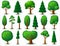 Big set of vector deciduous and coniferous trees. Game UI flat. Stylized tree for logo, games or cards