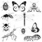 Big set of vector insects graphic