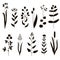 Big set of vintage original silhouette of meadow plants.