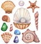 Big set of watercolor shells on a white background