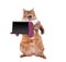 The big shaggy cat is very funny standing.laptop