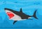 Big Shark megalodon  ilustration vector