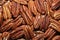 Big shelled pecan nuts background
