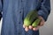 Big and small cucumber in the hand of a man