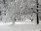 Big snow in the park - winter in Baia Mare city