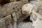 Big sphere stone in wadi Murabba`at canyon ,Judean desert, Israel, famous natural landmark