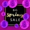 Big Spring Sale with colorful roses and gold and black frame on VIP. rich background. Special offer. Web banner or