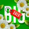 Big spring sale poster, green background with daisy flowers, vector image.