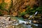 Big Spring in Zion Canyon, taken during The Narrows hike at Zion