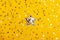Big star shape with sparling golden and silver stars among star shape glittering confetti on the yellow background