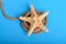 Big starfish on a rope in blue background